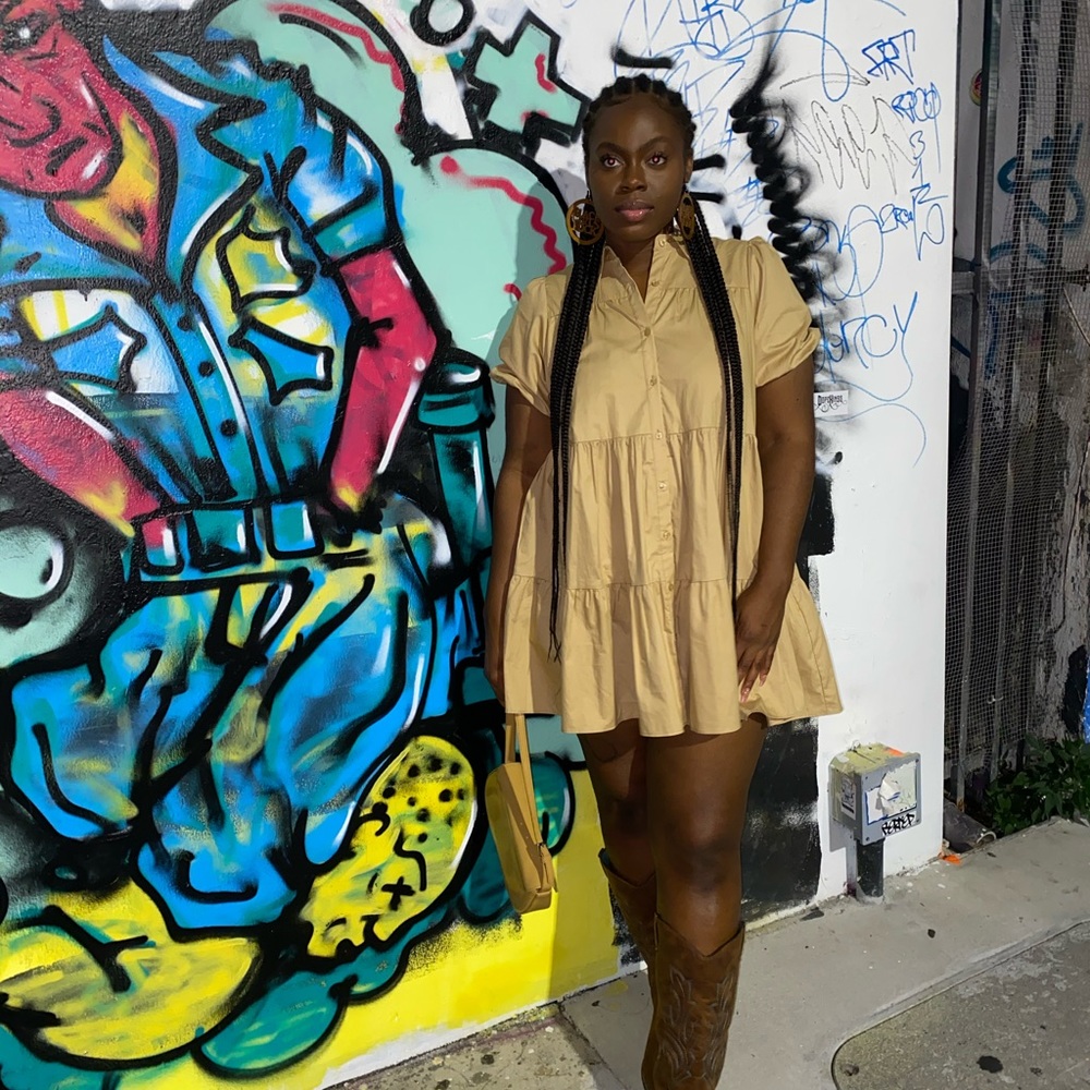 Zara Flare Dress